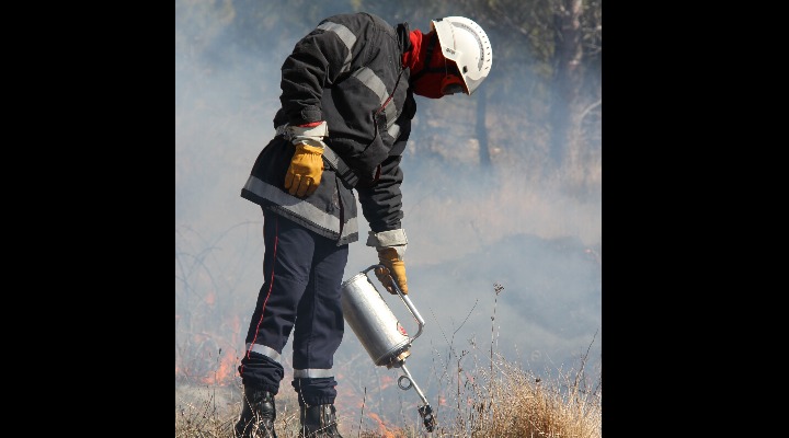 Brûlage dirigé au Pourra : une action maîtrisée pour protéger la nature et prévenir les incendies