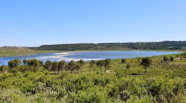 FERMETURE DE LA FORÊT DE CASTILLON